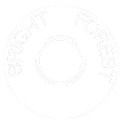Bright Forest Limited