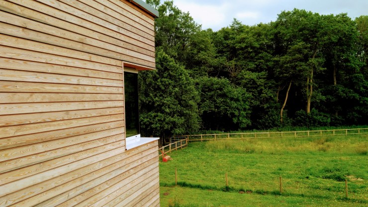 original_b39309ad-8c2d-4d84-86fd-500da6b94f4d_IMG_20210624_152812_645